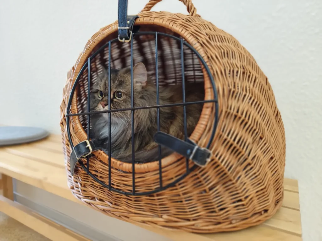 Tierarztpraxis DuoVet in Bad Breisig 20